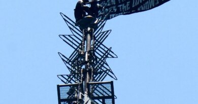 Couple arrested after daring Empire State marriage proposal stunt