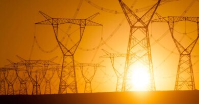 Silhouetted electricity pylon grid