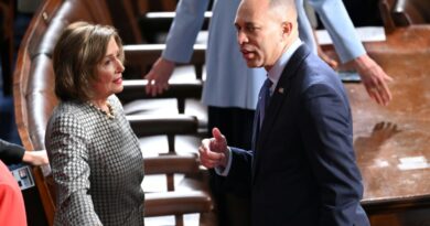 Democrats' Israel split widens ahead of US midterms