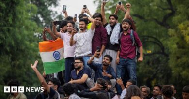 Abhijeet Dipke, head of the Cockroach Janta Party (CJP), celebrates with supporters who stand on an elevated platform holding their hands up in triumph