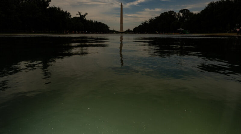 E Pluribus Algae: Why Green Pond Scum Is as American as Red, White and Blue