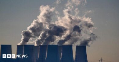 Cooling towers release water vapor at the Jaenschwalde lignite-fired power station in Jaenschwalde, Germany