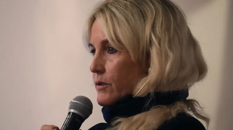 Erin Brockovich's crusade against data centers is going crowd-sourced