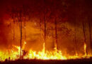 Europe Wildfires Live Updates: Spain and France Fight to Contain Blazes as Extreme Heat Threatens New Fires
