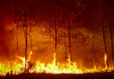 Europe Wildfires Live Updates: Spain and France Fight to Contain Blazes as Extreme Heat Threatens New Fires
