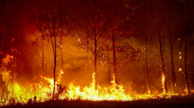 Europe Wildfires Live Updates: Spain and France Fight to Contain Blazes as Extreme Heat Threatens New Fires