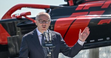 F1 boss Domenicali hopes to restore cancelled Gulf grand prix
