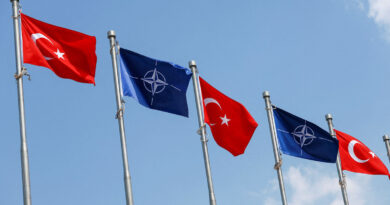 Factbox-NATO Ankara summit: who's going and what to expect
