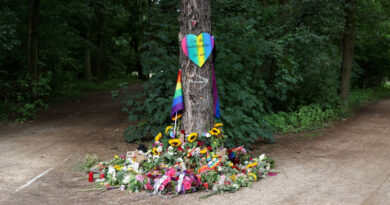 Factbox-What we know about the Berlin Pride attacker
