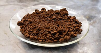 A plate of red mud sits on a lab workbench.