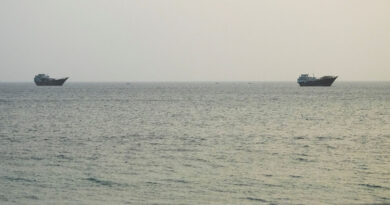 Fewer vessels travel through Hormuz as US, Iran continue strikes