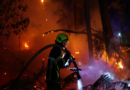 A firefighter works at the scene of a wildfire, in Andernos-les-Bains in the Gironde department, amongst worsening drought conditions following a heatwave and water shortages across much of France, July 26, 2026