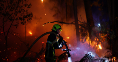 A firefighter works at the scene of a wildfire, in Andernos-les-Bains in the Gironde department, amongst worsening drought conditions following a heatwave and water shortages across much of France, July 26, 2026