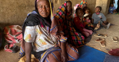 G7 urges halt to attacks in Sudan's El-Obeid, calls for wider arms embargo