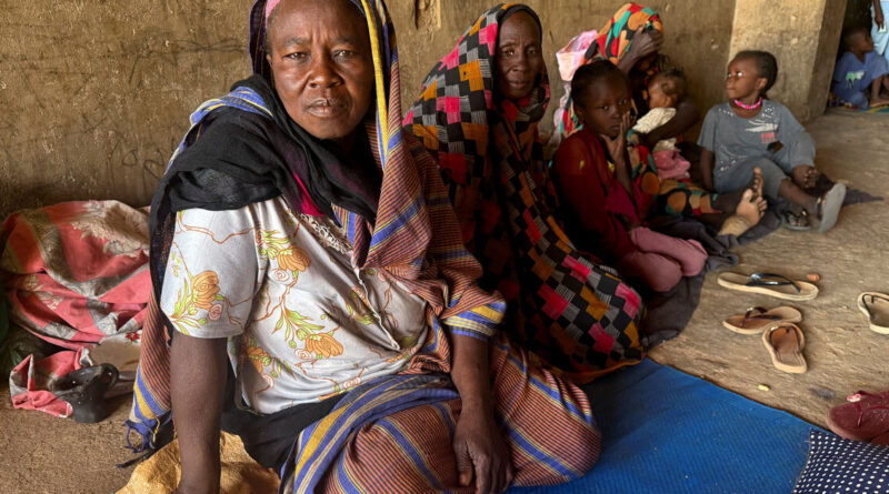 G7 urges halt to attacks in Sudan's El-Obeid, calls for wider arms embargo