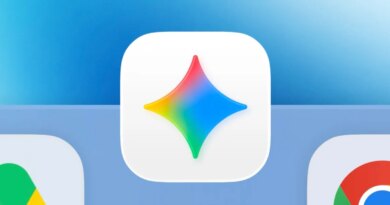 Gemini icon