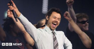 Harry Styles, who has styled short brown hair, performing in a white shirt and grey tie on stage at the BRIT awards earlier this year