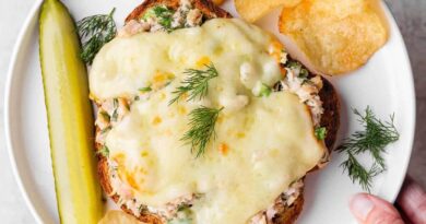 healthy tuna melt with cottage cheese served with chips and pickle
