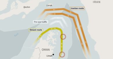 Hormuz traffic slumps as US, Iran trade strikes