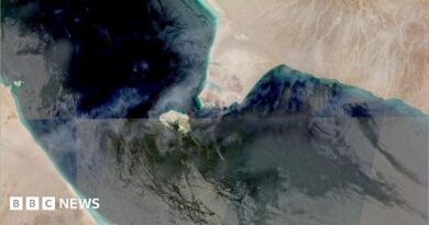 The Bab al-Mandab Strait in an aerial image.