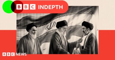 BBC InDepth