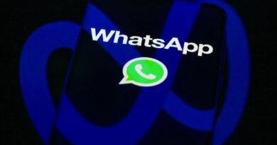 The WhatsApp logo is displayed on a mobile phone screen in this photo illustration.
