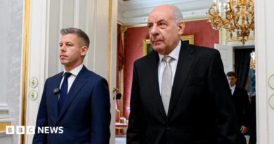 Hungarian Prime Minister Péter Magyar (left) and Hungarian President Tamás Sulyok in Budapest. Photo: 12 May 2026