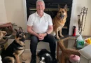 I built two wholesale businesses. When I retired at 72, I volunteered to raise service dogs to keep myself on a routine.