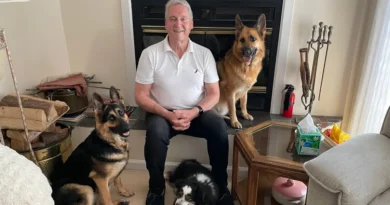 I built two wholesale businesses. When I retired at 72, I volunteered to raise service dogs to keep myself on a routine.