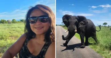 I took my husband on an epic safari adventure for his 50th birthday. It cost less than expected, and we had a blast.