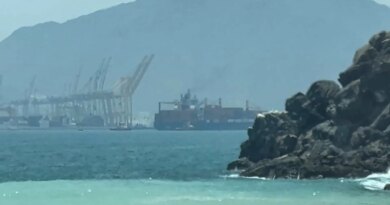 IEA chief warns Strait of Hormuz crisis threatens global energy security