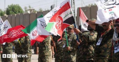 Iranian military personnel stand in a line waving red, white, green and black flags.