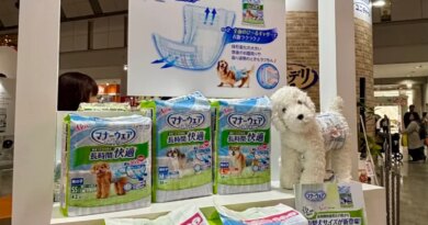 Japan’s pet care industry booms as ‘fur babies’ outnumber infants