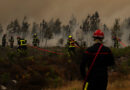 Live Updates: Extreme Heat and Strong Winds Fuel Wildfires in France and Spain
