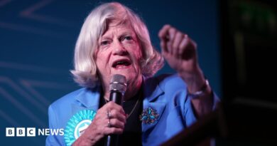 Ann Widdecombe, Reform UK's Immigration and Justice spokesperson addresses delegates during the The Reform Uk Party's summer rally at Staffordshire Showground.