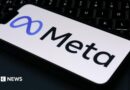 The Meta logo is displayed on a mobile phone