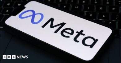 The Meta logo is displayed on a mobile phone