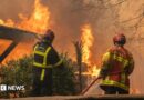 A firefighting crew deployed to battle a wildfire spreading in Lege-Cap-Ferret, south western France, late 24 July 2026.