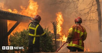 A firefighting crew deployed to battle a wildfire spreading in Lege-Cap-Ferret, south western France, late 24 July 2026.