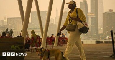 Orange haze in the New York city sky as a woman walks her dog