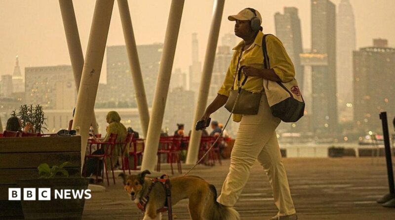Orange haze in the New York city sky as a woman walks her dog