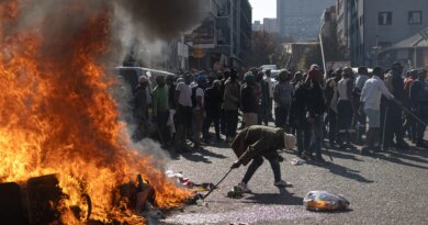 More than 900 arrested during South Africa’s antimigrant protests