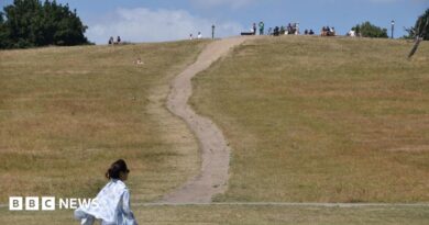 A woman walks along a dry Primrose Hill