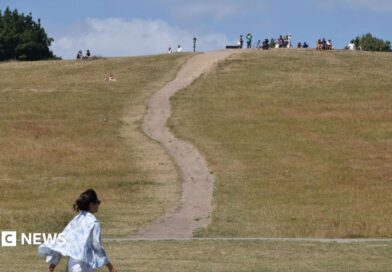 A woman walks along a dry Primrose Hill