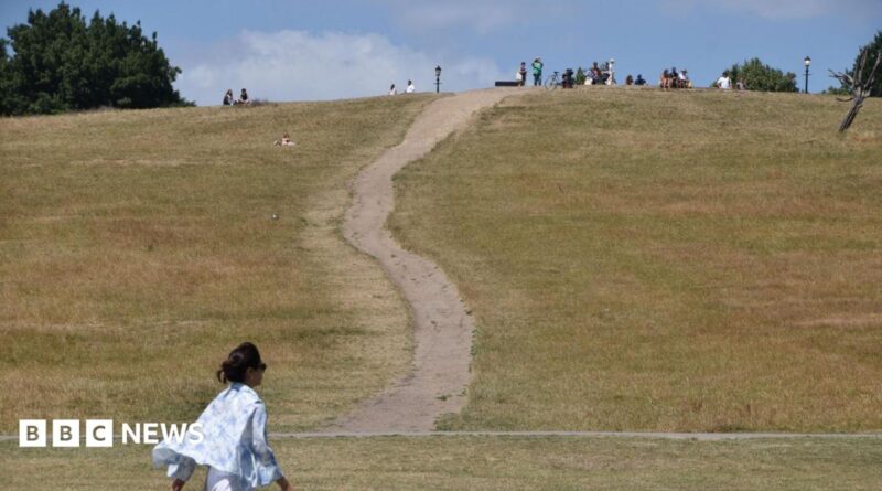 A woman walks along a dry Primrose Hill