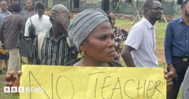 A woman holds up a banner at a protest at a school.