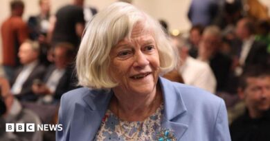 Amelia Lord is a white woman in her late 20s. She has shoulder length brown hair partly pulled back in a ponytail with frontpieces either side of her face. She has defined eyebrows and is wearing makeup, has a central nose ring and earrings, and is smiling at the camera. She wears a sleeveless black top. She is holding a pair of books and stands in front of a bookshelf with collections of books on it, including titles by Rebecca Yarros and the Harry Potter series by JK Rowling.