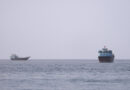 Oil transfer activity in Gulf of Oman slows following ship attacks, data shows