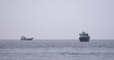 Oil transfer activity in Gulf of Oman slows following ship attacks, data shows