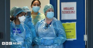 Four medics are standing at the doors of an emergency department in the pandemic. They are wearing plastic blue gowns and have face masks on. One has a sign on her chest saying "ED Nurse".